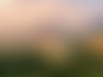 Comment obtenir la nationalité albanaise?