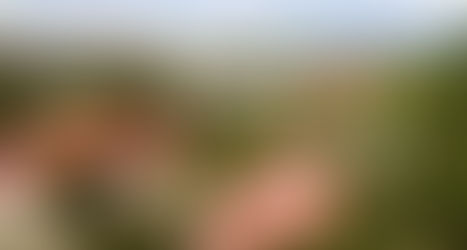 Aliwal North : un oasis historique au cœur de l'Afrique du Sud