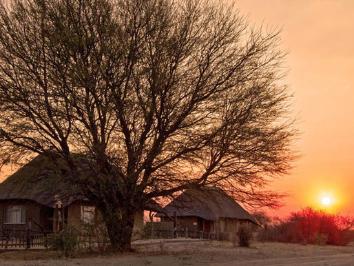 Ghanzi : une ville entre tradition et modernité au cœur du Kalahari
