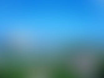 Vers la citoyenneté bahaméenne : naviguer les voies diverses de la naturalisation