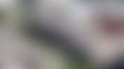 Projet G3D à Madagascar : une révolution dans la gestion durable des bois précieux