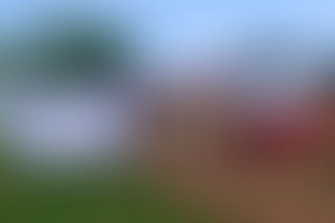 Akom II : une analyse du coût de la vie