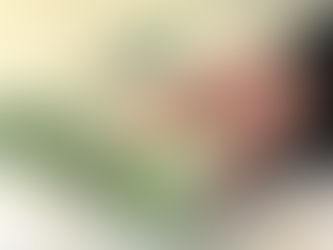 Zoom sur le Canada : un mélange de prospérité et de défis économiques