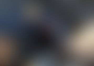 Le Chou-fleur : au cœur de l'actualité