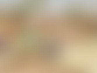 Analyse du coût de la vie à Bol