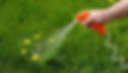 ree