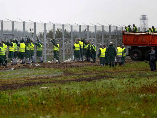 Tensions émergentes : l'arrivée de travailleurs étrangers dans une Hongrie sans immigration