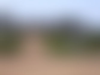 Mungo : entre tradition et modernité en république démocratique du Congo