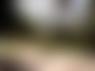 Utirik: un budget tissé dans la trame de la vie insulaire