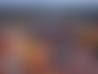 Krems an der Donau : un joyau culturel au bord du Danube