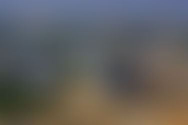 Obtenir la nationalité au Botswana : un processus d'intégration