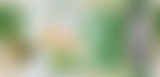 Nouvelle-Zélande : un oasis de prospérité dans le pacifique Sud et son salaire moyen