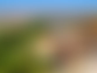 Şanlıurfa: un voyage dans le temps au cœur du croissant fertile