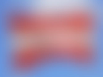 L'Autriche : le chemin vers la citoyenneté