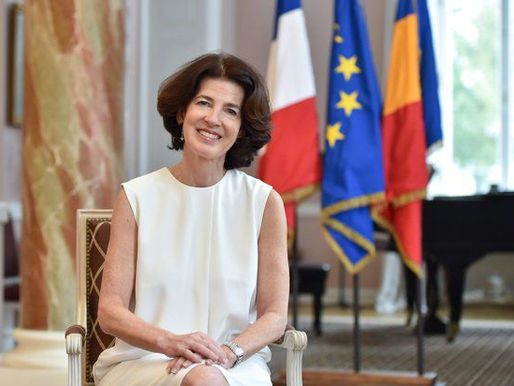 Qui est Laurence Auer ?