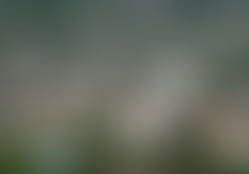 Budget de vie à Ijevan : une exploration complète