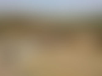 Beboka : le nouveau visage de l'agriculture malgache