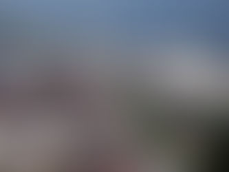 Blida : un panorama du coût de vie