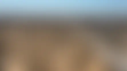 Tsabong, Botswana : un oasis de sérénité au cœur du désert