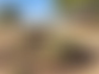 Tshabong, Botswana : où l'authenticité rencontre la beauté naturelle