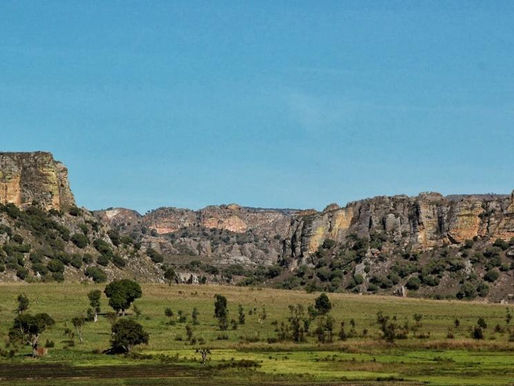 Protection de la biodiversité : un partenariat pour atténuer les impacts des investissements
