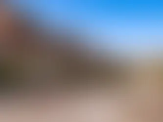 Louvain : sécurité et dynamisme dans une ville universitaire