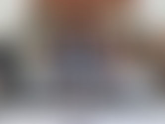 Coup de filet majeur en Thaïlande : saisie historique de lémuriens et tortues de Madagascar