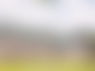 Welcome to The Barn Blog