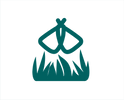 vseyadn.png