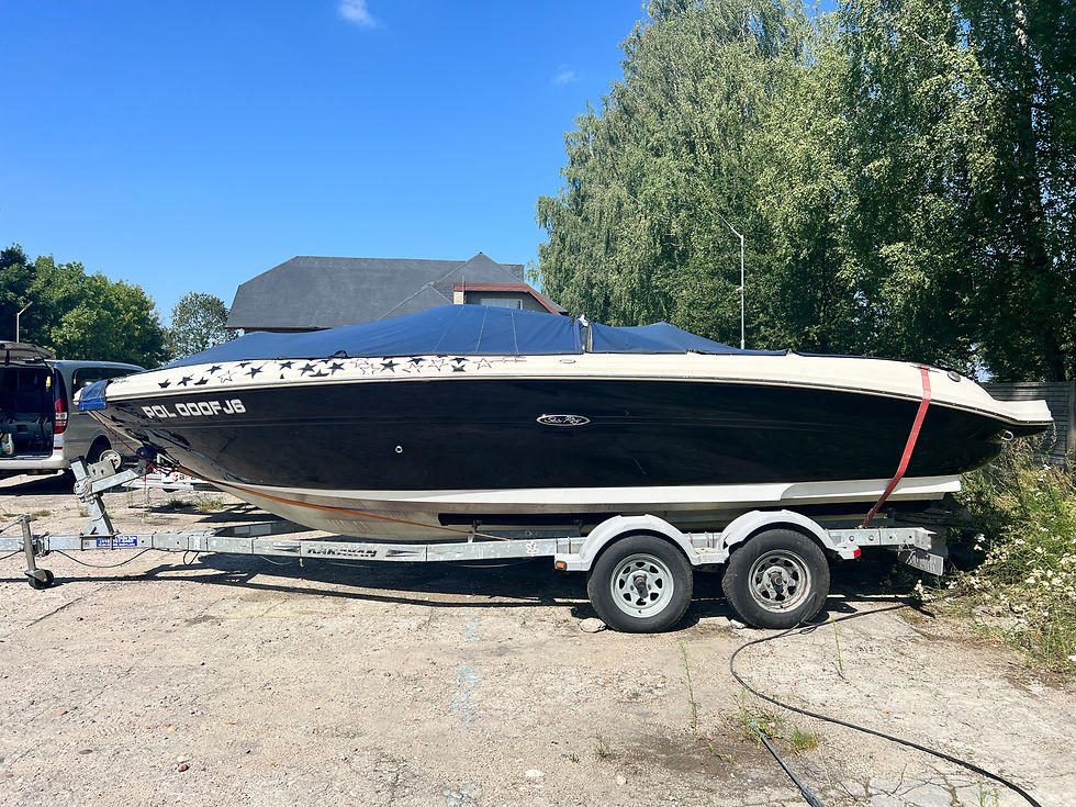 Miniatura: Sea Ray 220 BR