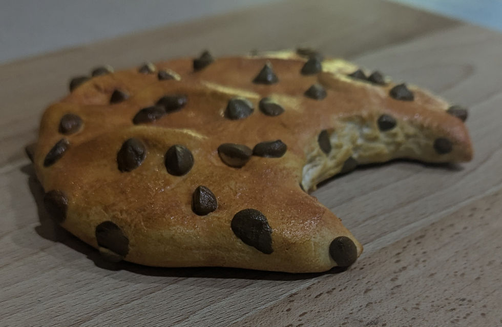 Fake Cookie with Bite