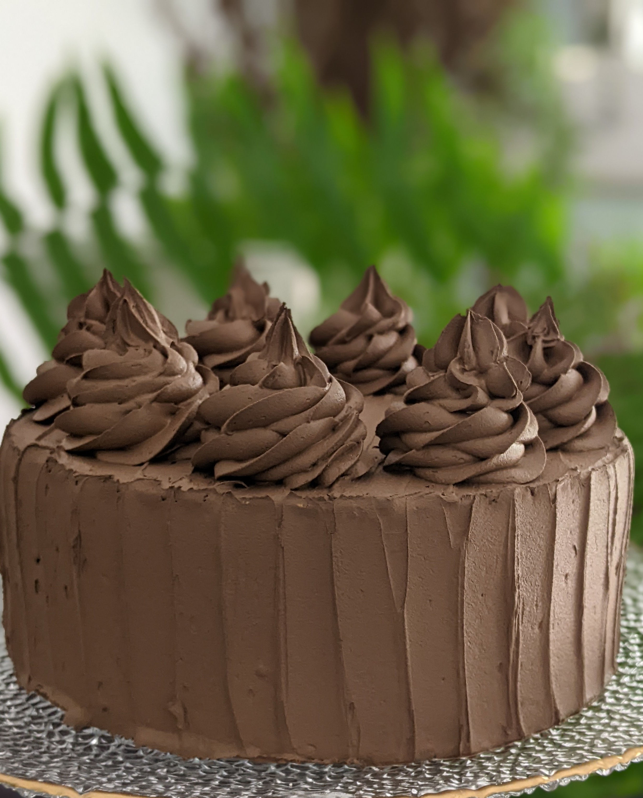 Fake Cake - Plain Chocolate