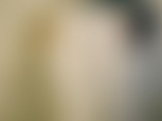 Tarihe Geçmeyen Şeyler