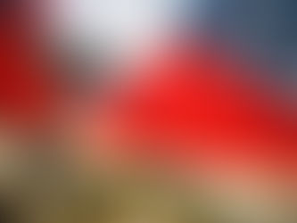 Team USA comes out swinging.