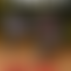 NEXT UP - PULL BMX Issue 1 of 2026