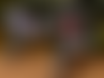 NEXT UP - PULL BMX Issue 1 of 2026