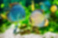 AdobeStock_53319519.jpeg