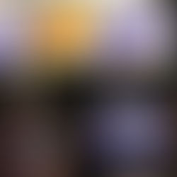 A Historic Candidacy: Zohran Mamdani’s Ascent to Power