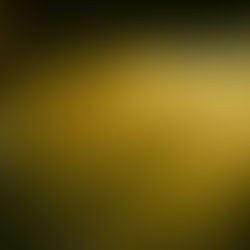 Fighting in the Shadows: A Guide to 21st-Century Hybrid Warfare