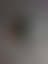 Creepypasta (Las Muñecas De Ibana)