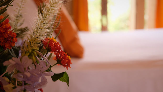 DSCF2225.JPG