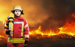 FIRE BRIGADES
