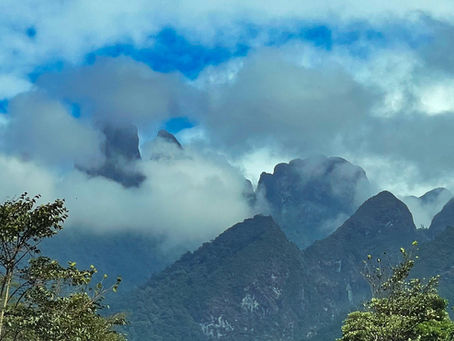 ベトナム北西高原地帯におけるチアシード栽培 ‐ KBC-LINK 現地レポート