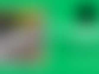 Aerial view of a residential home with an asphalt shingle roof, representing properties in Novato where inspections reveal hidden wind damage not visible from street level.