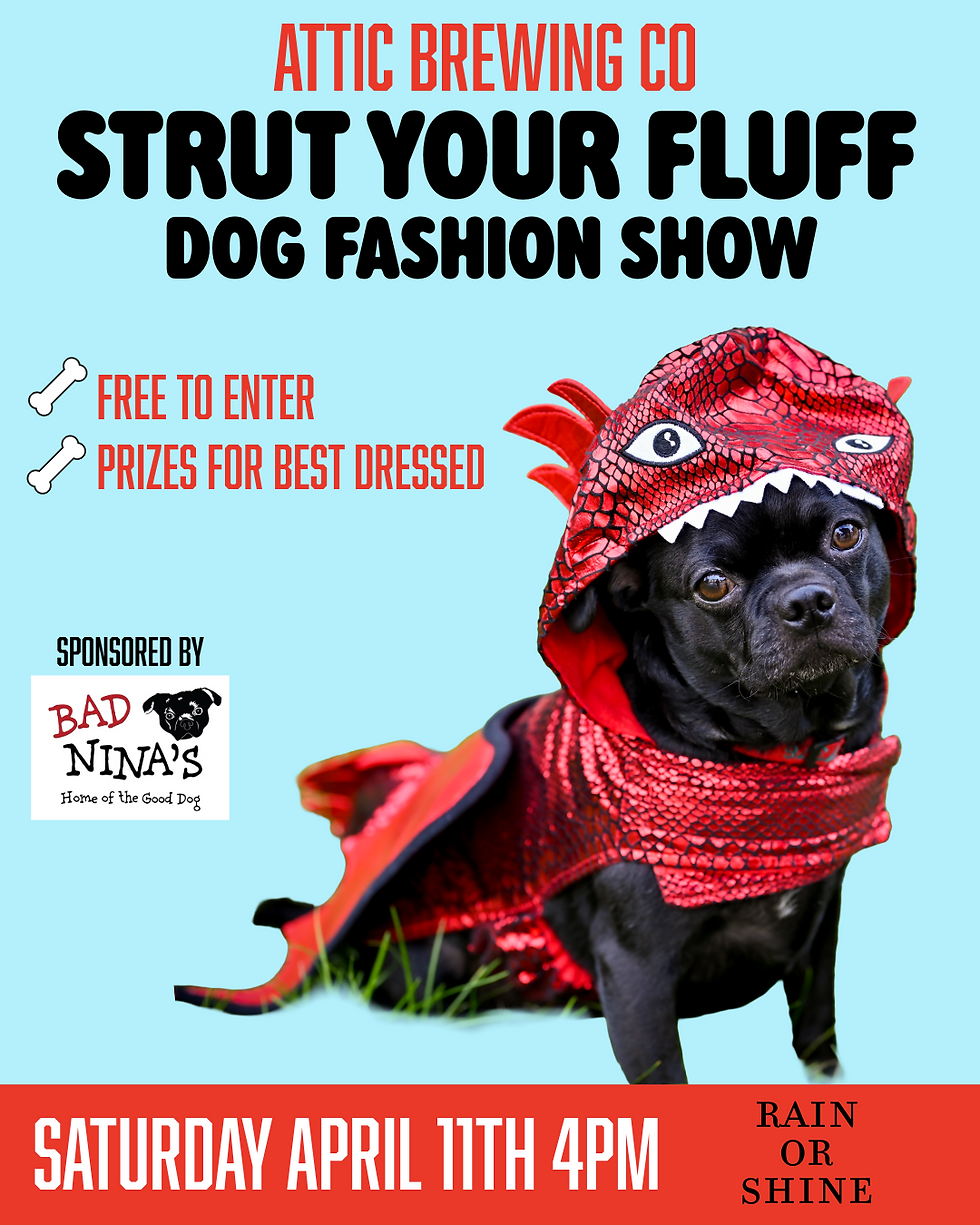 Strut Your Fluff Dog Fashion Show