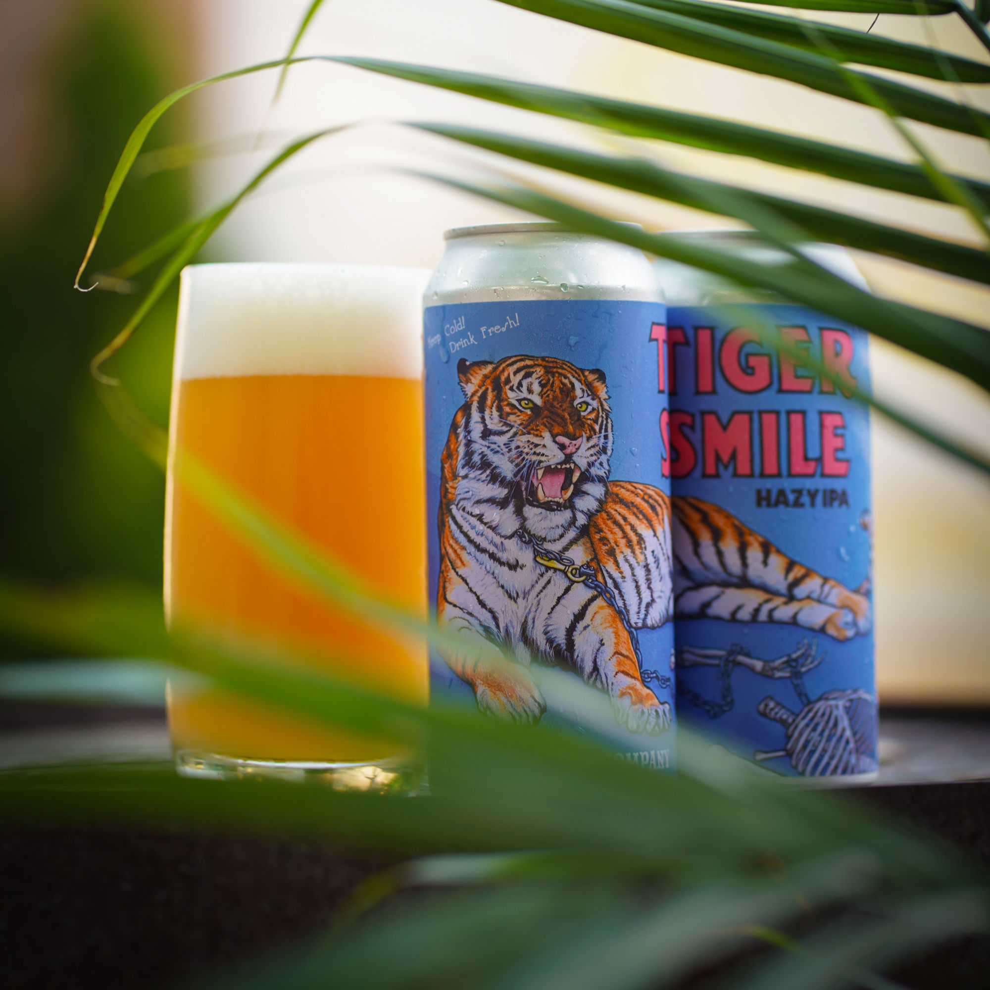 Tiger Smile Hazy IPA 16oz can 4-PACK
