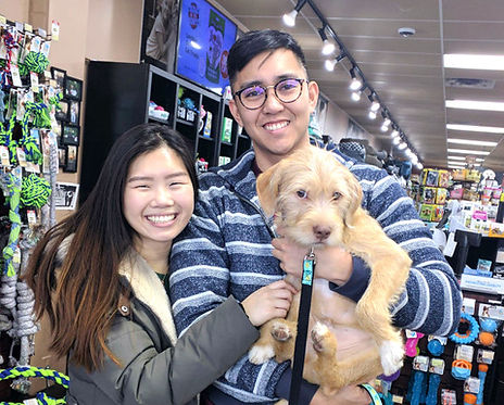 puppy CASPCA to SFC adopted.jpeg