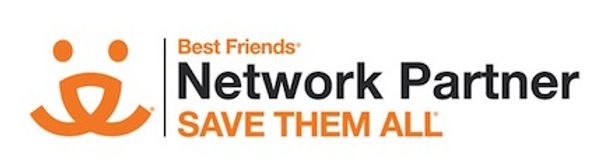 BF Network Partner Logo copy.jpg