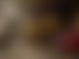 Beneath the Shadows of History A Giant Coral Snake's Secret Life Among Ancient Mayan Ruins