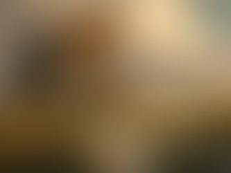 The Journey of Shere Khan: From Ali Baba's Cave to Kazakhstan's Gold Spring